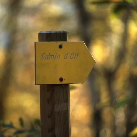 Logis Du Fel 2* Le Fel