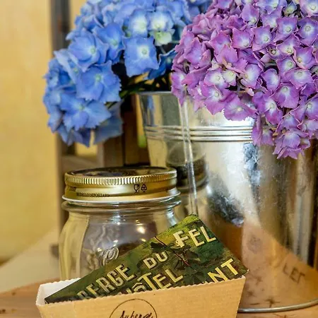 Logis Du Fel 2* Le Fel