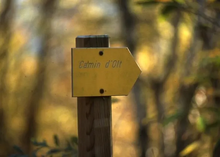 Logis Du Fel 2* ル・フェル