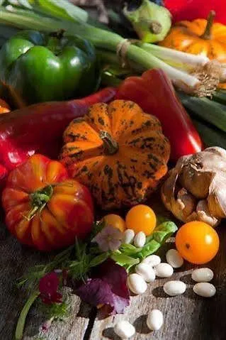 ホテル Logis Du Fel 2*