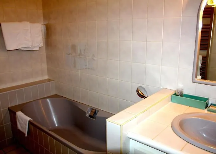 Hotell Logis Du Fel Le Fel