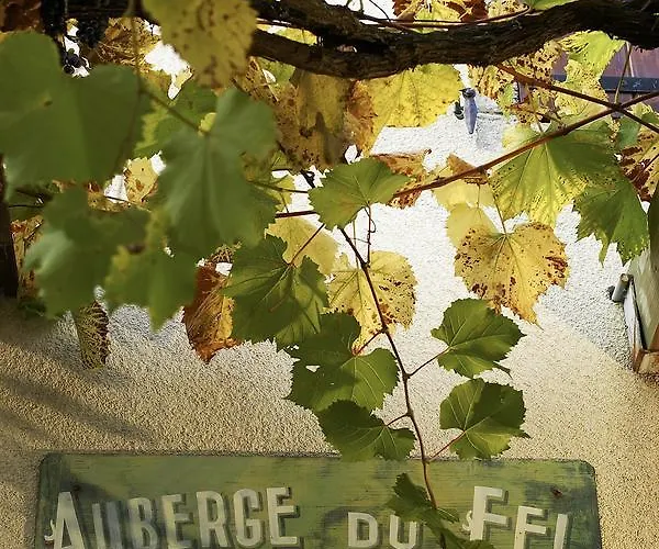 מלון Logis Du Fel