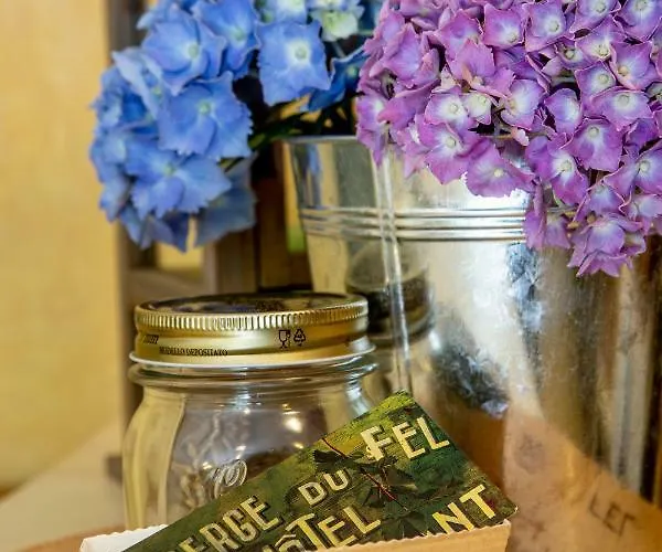 Logis Du Fel 2* Le Fel