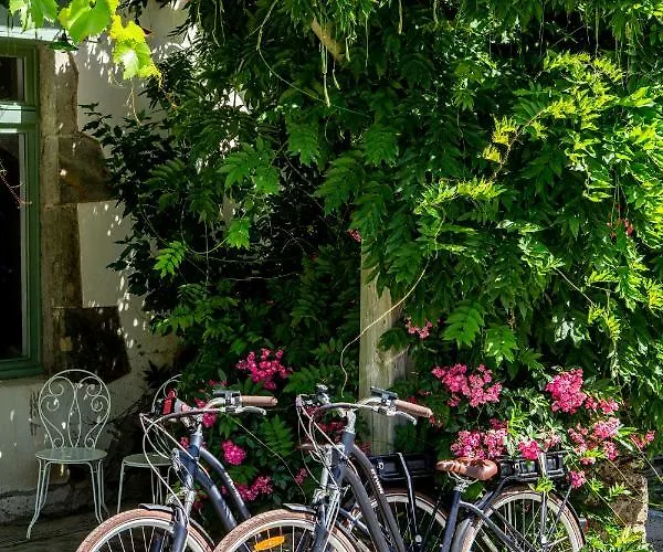 Hotell Logis Du Fel 2*